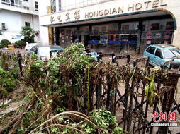 洛杉矶街头满目疮痍