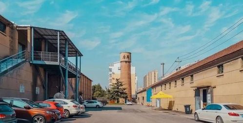 网红钟明轩站在北京街头拍照