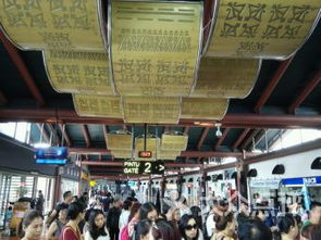 新增印尼为中国过境免签适用国家，我的旅行计划彻底改变了！