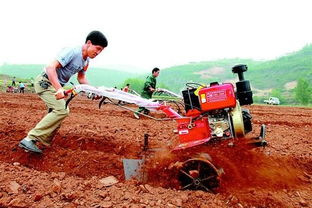 农田中倒下的农机手和散落的农具