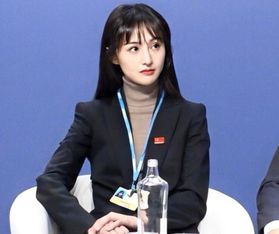 金晨在发布会上自信发言的照片