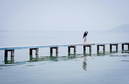 海洋生态旅游景点风光图