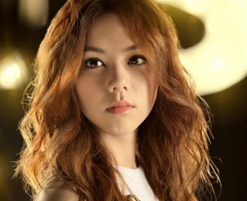 社交媒体上关于邓紫棋版权事件的评论截图