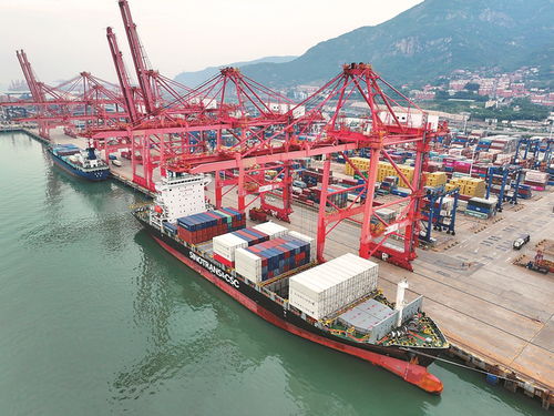 从港口流量到经济增量，我如何抓住抖音红利实现逆袭？