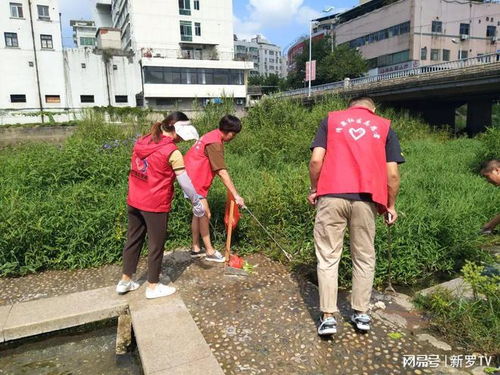 男子捡河道成扎钞票引热议，真相竟出乎意料？