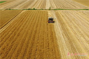 图片内容：金色麦田中农民正在收割