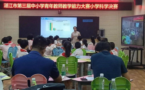 湛江某小学教师在线授课