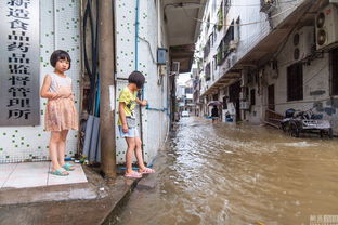 台风过后街道积水严重场景