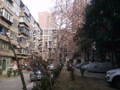 广州高端住宅区实景图