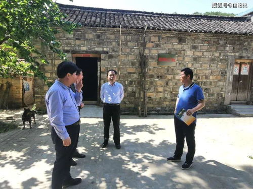 遗址修复过程中的施工现场