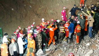 幸存者被抬上救护车