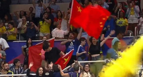 球迷在看台上挥舞国旗