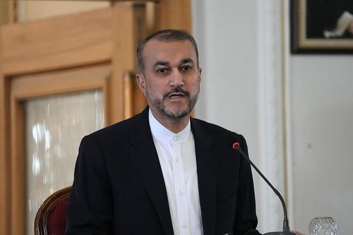 伊朗外长阿卜杜拉希扬发言现场