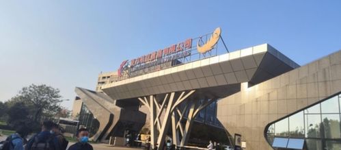 印度坠机事故后机场工作人员在现场查看残骸