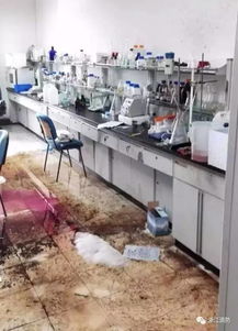 中国理工科热潮背后：普通人该如何选择？