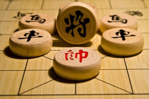 象棋选手庆祝胜利