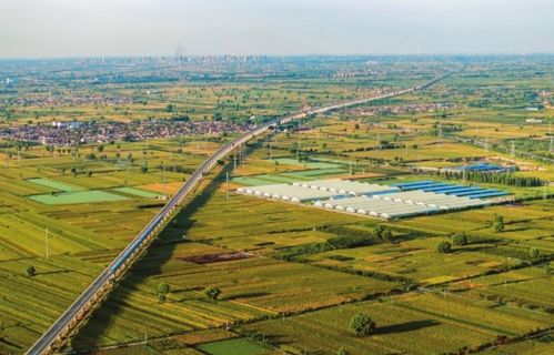 中国高铁飞驰在田野间