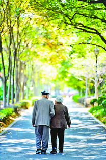 一对老年夫妻在公园散步