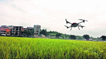 农田上空的无人机正在进行喷洒作业