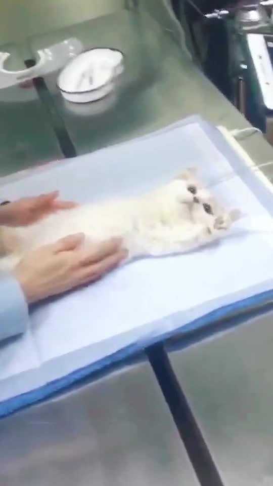 幸存者躺在担架上接受治疗