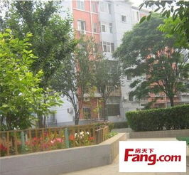 罗帅宇坠楼事件疑点重重：手机曾拨打110，真相究竟如何？