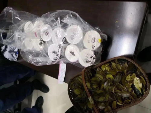 网友在社交媒体上的暖心留言