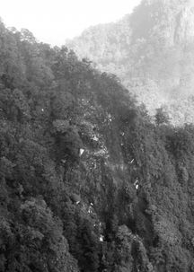 印度坠机事故遇难人数升至279人，现场画面令人揪心