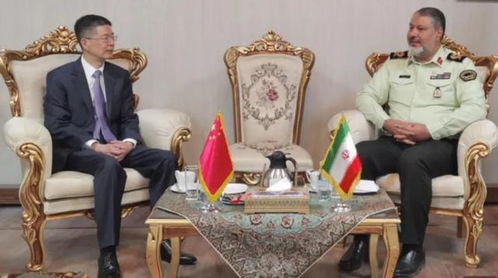 中国驻伊朗大使丛培武会见伊朗外长阿拉格齐