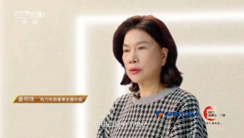 董明珠在采访中接受采访的照片