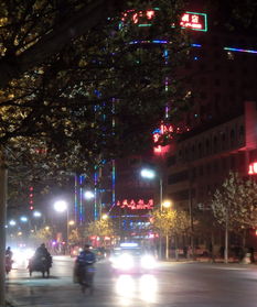 博主手持自拍杆在夜景中拍摄短视频