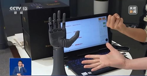 患者用脑机接口控制屏幕光标