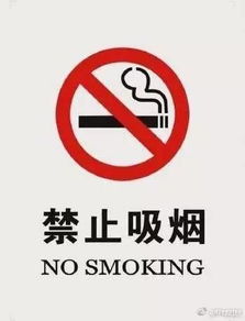 北京多所高校禁用罗马仕充电宝，背后原因令人深思！