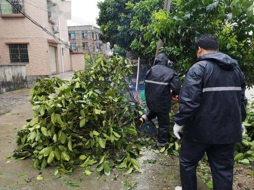 灾后工作人员清理道路障碍物