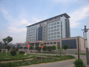 腾讯热评：河南问责风暴震动基层，210名干部被处理背后隐藏了什么？