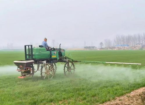 独家追踪丨万亩水稻为何无水可种？安徽蚌埠农田危机背后真相揭秘