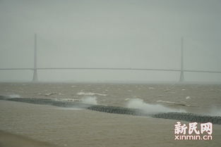 台风蝴蝶在雷州二次登陆，我亲历风雨中的广东
