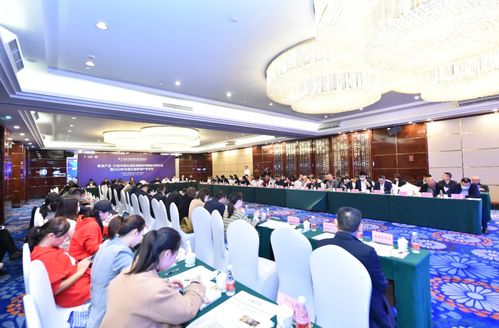 白酒企业高管会议讨论现场图