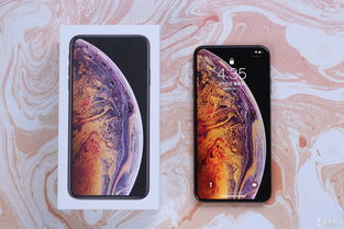 iPhone XS 与新款 iPhone 对比图