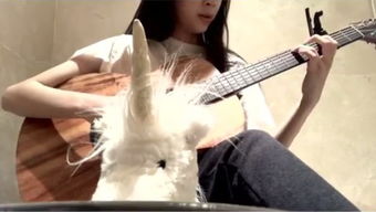 林小夏创作现场