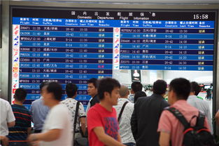 乘客在机场查看航班信息