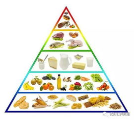 学生通过滑梯传递食物示意图
