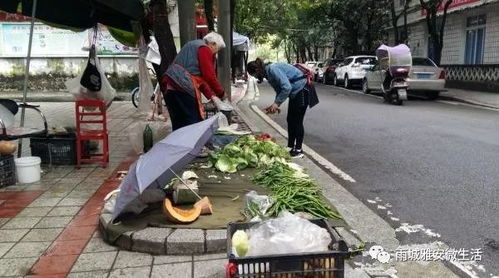 女孩在路边摆摊卖凉粉