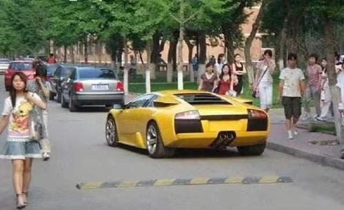 武大职工子女驾车撞停学生，真相曝光后舆论炸锅！