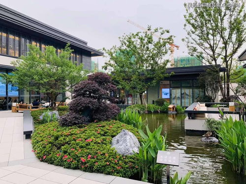 罗马仕客服热线与官网召回页面截图