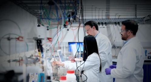 罗帅宇在实验室专注做实验