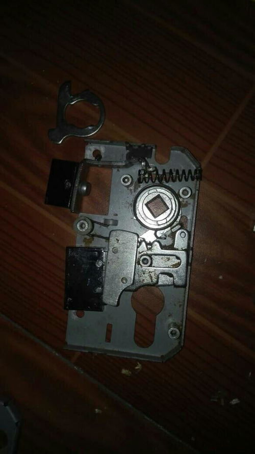 LABUBU被拆开后内部结构展示