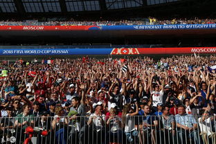 球迷手持旗帜在看台欢呼