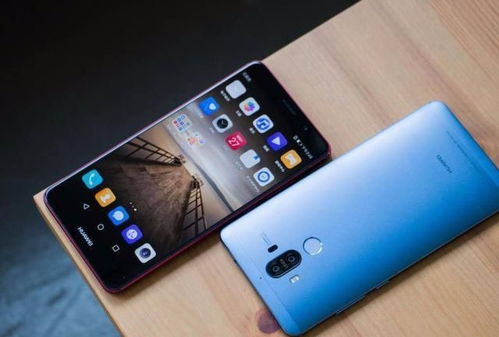 华为手机展示Petal One会员绑定平台界面