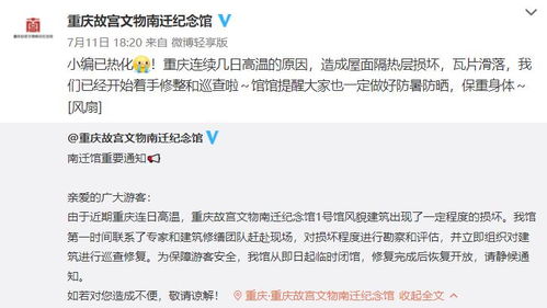 社交平台评论截图显示恶意言论