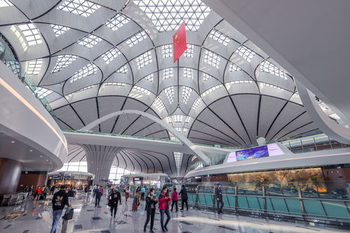 台网红怒斥台当局：我犯了什么错？为何不让我回家！